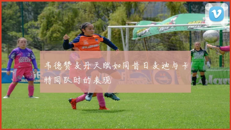 韦德赞麦丹天赋如同昔日麦迪与卡特同队时的表现
